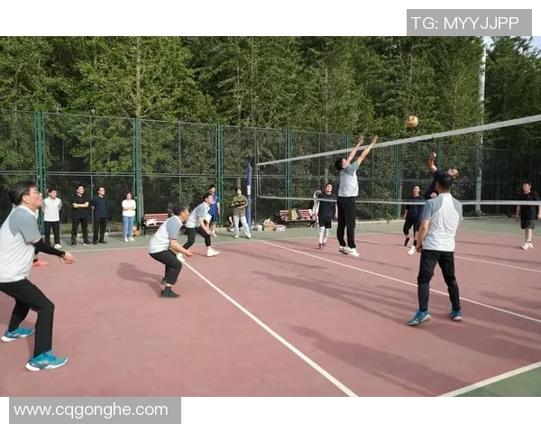 深圳排球队荣登排球比赛经验排行榜第二名引发热议