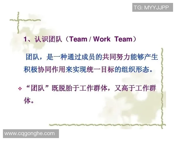 重庆排球队团队协作的独特优势与其他球队的对比分析 重庆排球队团队协作的独特优势与其他球队的对比分析